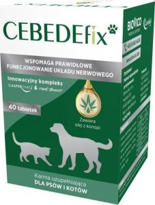 Triton BIOVICO CEBEDEfix 40 tabletek 1