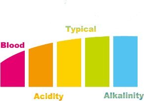 Żwirek dla kota Triton Żwirek Silikonowy dla Kota Cat Sand Micro - PH Control 3,8l 2