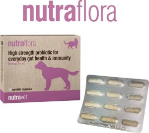 Nutravet NUTRAVET Nutraflora For Dogs & Cats 12kaps - Probiotyk o wysokiej sile wspomagający codzienne zdrowie jelit i odporności 1