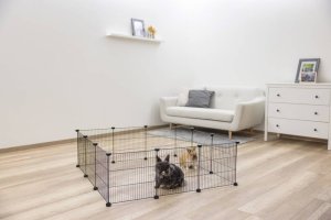 Kerbl KERBL Kojec modułowy dla królików, 12 elementów, 35 x 35 cm 3