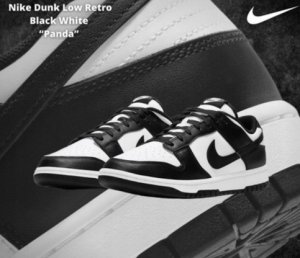 Nike Nike męskie buty sportowe Dunk Low RETRO DD1391 100 44 37