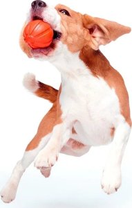 Collar Collar Liker Piłka Pływająca dla Psa 7cm Pomarańcz 4