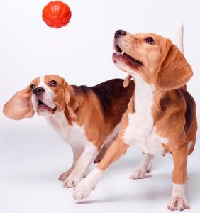 Collar Collar Liker Piłka Pływająca dla Psa 7cm Pomarańcz 10