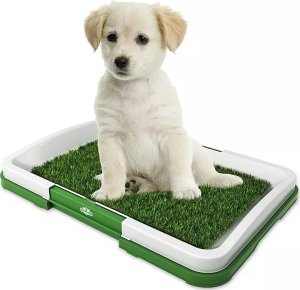 Tech-Led Puppy Potty Pad czyli kuweta mata dla psa szczeniaka ze sztuczną trawą Puppy Potty Pad czyli kuweta mata dla psa szczeniaka ze sztuczną trawą 1