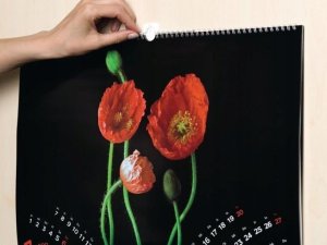 Tesa TESA 58031-00020-20 wieszak Wewnętrzna Hak na zdjęcia Biały 2 szt. 8