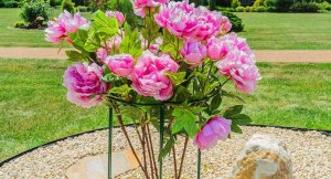 Kadax Podpora Do Roślin Kwiatów Obejma 3x90 + 3x115cm 12