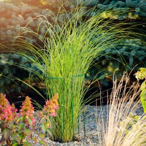 Kadax Podpora Do Roślin Kwiatów Obejma 3x90 + 3x115cm 8