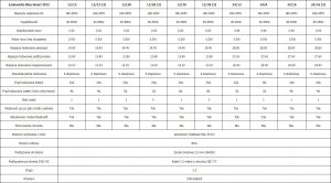 Victron Energy Prostownik Victron BLUE SMART IP22 24/8A (1) 3