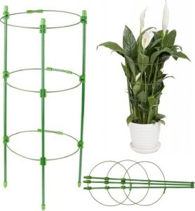 PrzydaSie Podpora Pierścieniowa Roślin Kwiatów Podpórka 60Cm 1