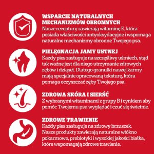 Pedigree Professional Adult 12 kg 4