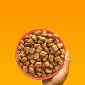 Pedigree Professional Adult 12 kg 6