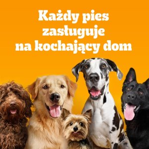 Pedigree Professional Adult 12 kg 7