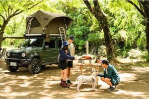 Ooni Ooni Karu 12 UU-P29400 Outdoor Pizza Oven 6