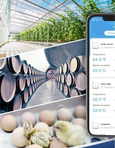 Stacja pogodowa Govee Govee - WiFi Thermo-Hygrometer 5