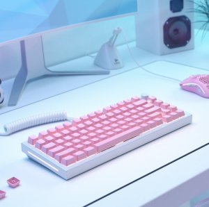 Glorious GMMK Doubleshot V2 Keycaps (GLO-KC-ABS-USKIT-P) 4