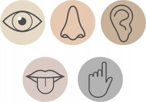 BamBam BAM BAM MUZYCZNY TAMBURYN B/O 16X16X6 MIX2 36/72 10