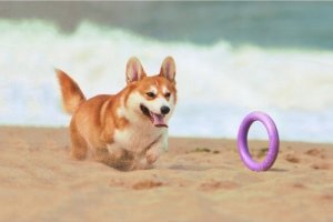 Collar PULLER MIDI 19,5cm 2szt/op 13