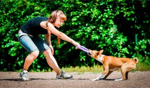 Collar PULLER MIDI 19,5cm 2szt/op 15