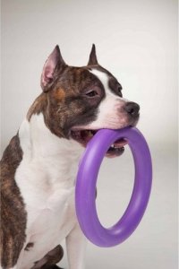 Collar PULLER MIDI 19,5cm 2szt/op 27