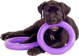 Collar PULLER MIDI 19,5cm 2szt/op 10