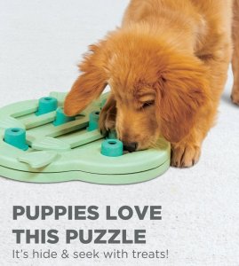 NINA OTTOSON NINA OTTOSON DOG PUPPY HIDE N SLIDE       GREEN Level:2 2