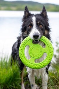 Triton Kiwi Walker Let's Play Frisbee Mini niebieskie 5