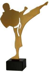 Victoria Sport Trofeum metalowe z marmurową podstawą - Karate - karateka 1