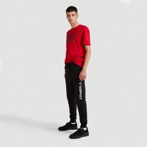 O Neill Męskie Spodnie LM JOGGER PANTS 6