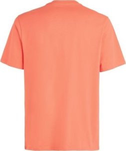 O Neill Męska Koszulka z krótkim rękawem CALI ORIGINAL T-SHIRT 2