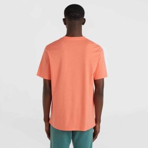 O Neill Męska Koszulka z krótkim rękawem CALI ORIGINAL T-SHIRT 3