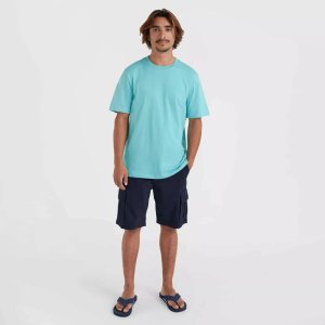 O Neill Męskie Szorty ESSENTIALS CHINO SHORTS 5