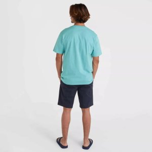 O Neill Męskie Szorty ESSENTIALS CHINO SHORTS 6