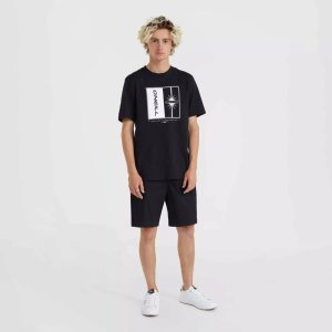 O Neill Męskie Szorty ESSENTIALS CHINO SHORTS 3