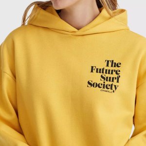 O Neill Damska Bluza FUTURE SURF SOCIETY HOODIE 6