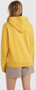 O Neill Damska Bluza FUTURE SURF SOCIETY HOODIE 7