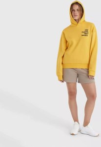 O Neill Damska Bluza FUTURE SURF SOCIETY HOODIE 5