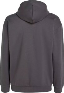 O Neill Męska Bluza FUTURE SURF SOCIETY HOODIE 2