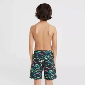 O Neill Dziecięce Szorty JACK O'NEILL CALI CRAZY 14'' SWIM SHORTS 4