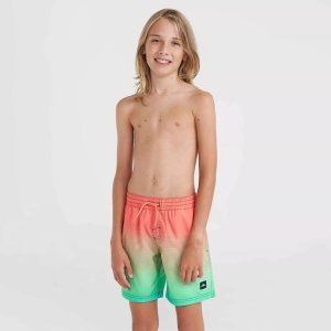 O Neill Dziecięce Szorty JACK O'NEILL CALI GRADIENT 14'' SWIM SHORTS 3