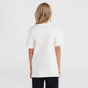 O Neill Dziecięca Koszulka z krótkim rękawem JACK O'NEILL MUIR T-SHIRT 4