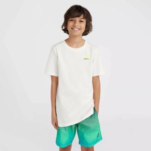 O Neill Dziecięca Koszulka z krótkim rękawem JACK O'NEILL T-SHIRT 3