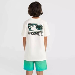 O Neill Dziecięca Koszulka z krótkim rękawem JACK O'NEILL T-SHIRT 4