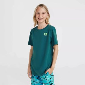 O Neill Dziecięca Koszulka z krótkim rękawem JACK O'NEILL T-SHIRT 3