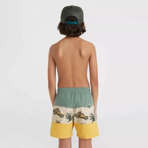 O Neill Dziecięce Szorty Mix & Match CALI BLOCK 13'' Swim Shorts (4800071-37530) 4