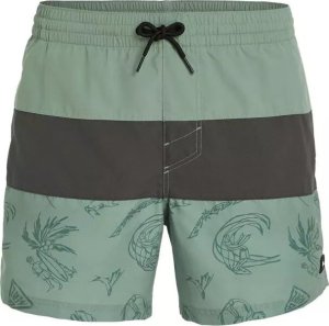 O Neill Męskie Szorty MIX & MATCH CALI BLOCK 15'' SWIM SHORTS 1