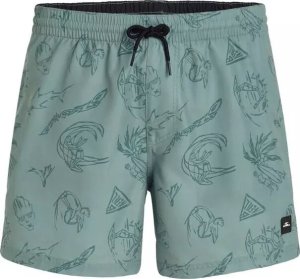 O Neill Męskie Szorty MIX & MATCH CALI PRINT 15'' SWIM SHORTS 1