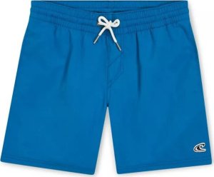 O Neill Dziecięce Szorty VERT 14" SWIM SHORTS 1