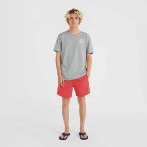 O Neill Męskie Szorty VERT 16'' SWIM SHORTS 4