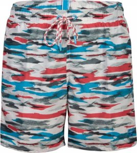 Arena Męskie Szorty MEN'S ARENA WATER PRINTS BEACH BOXER AO 1