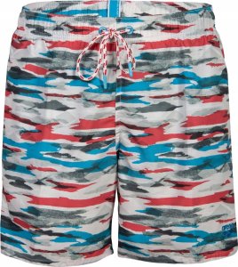 Arena Męskie Szorty MEN'S ARENA WATER PRINTS BEACH BOXER AO 2